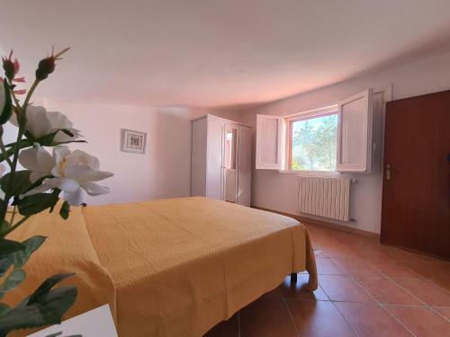 Villa Terra Mia