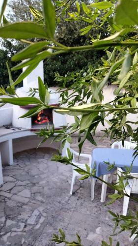 Villa Terra Mia