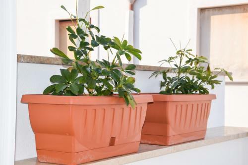 Apartamento Casa Rodolovich Locazione Breve