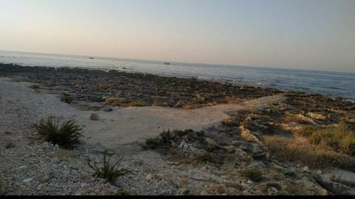 Hostal Terra Mia A Mare