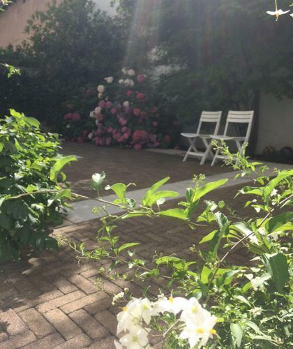 B&B Viacavoursei