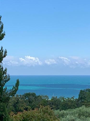 Agroturismo Villa Cecalina