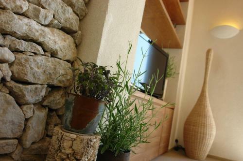 Bed & Breakfast Sapore Di Mare