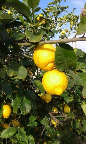 Bed & Breakfast Lumie Di Sicilia