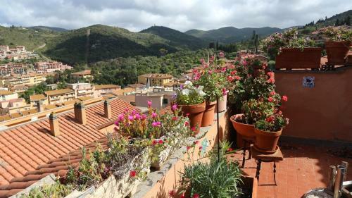 Apartamento La Casa Di Elba E Mario