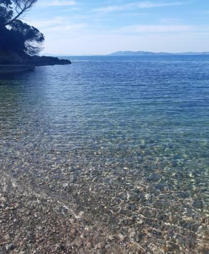Punta Nera