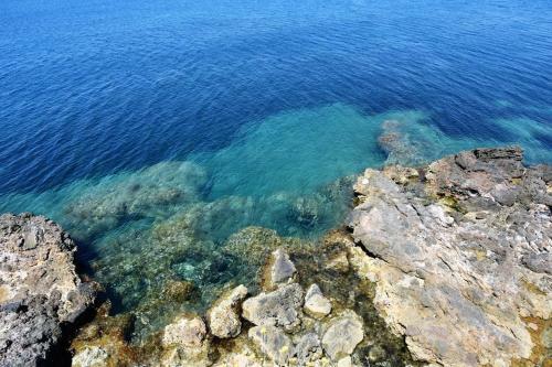 Bed & Breakfast Villa Flora Argentario
