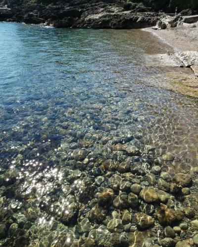 Bed & Breakfast Villa Flora Argentario