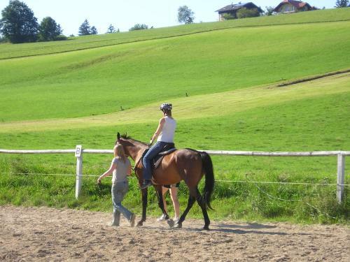 Agroturismo Bachbauer Kinderparadies