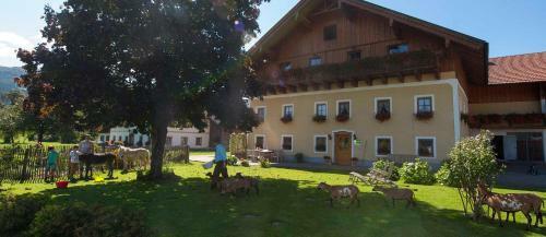Agroturismo Bachbauer Kinderparadies