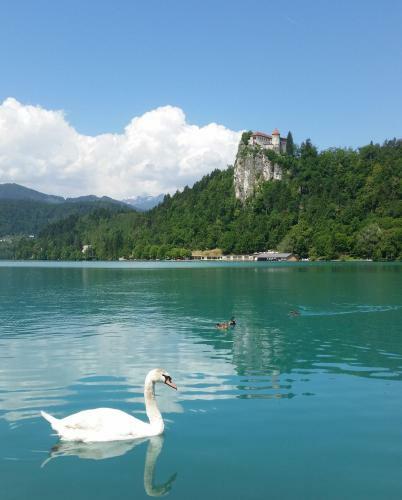 Maline Apartments