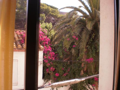 Hotel Can Pep�n
