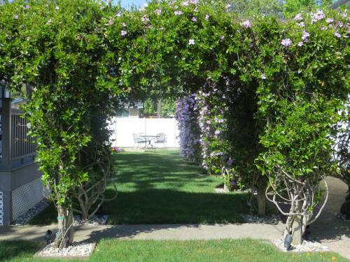Bed & Breakfast Arbor Guest House