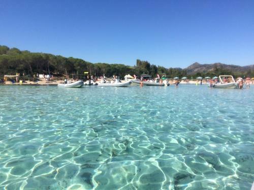 Apartamento Casa Sul Mare Golfo Dell'asinara I