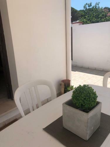 Apartamento Nanna Home