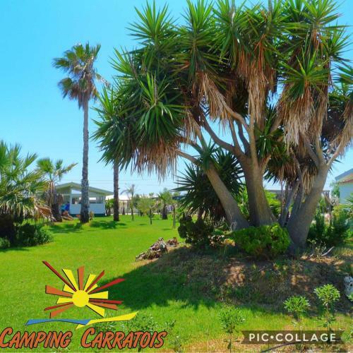 Agroturismo Camping Carratois