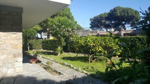 Villa Elena