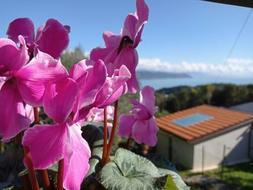 Apartamento Le Vigne Di Lenf
