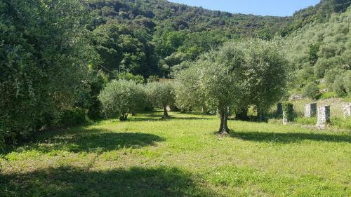 La Casa Sull'isola
