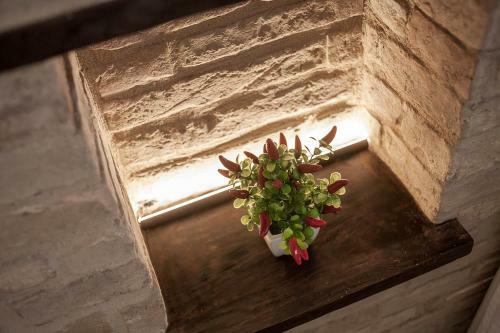 Hostal Red House Accomodation Potenza Picena