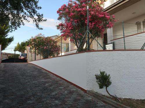 Apartamento Terra Da Mare