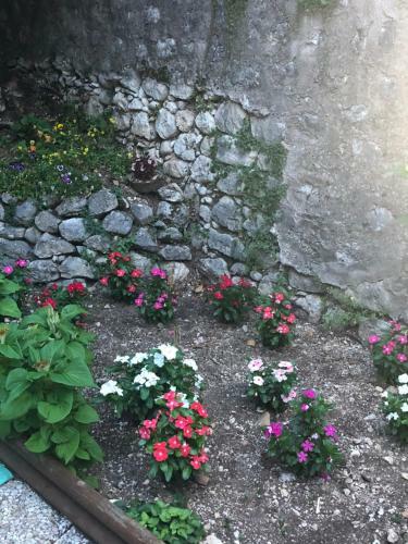 Bed And Breakfast Il Cavaliere