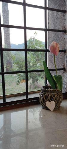 Apartamento Le Tre Primavere