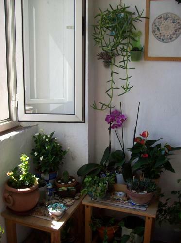 Hostal B&B Porta Del Mare