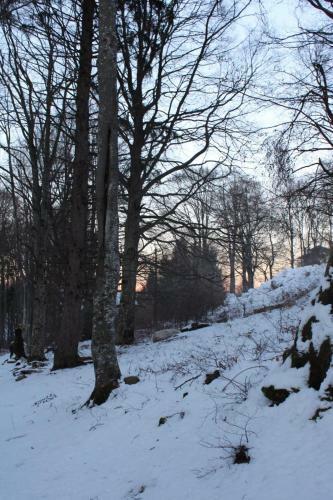 Apartamento Residenza Il Bosco