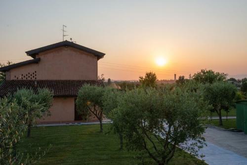Apartamento La Casa Degli Ulivi - Intera Casa