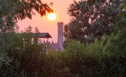 Apartamento La Casa Degli Ulivi - Intera Casa