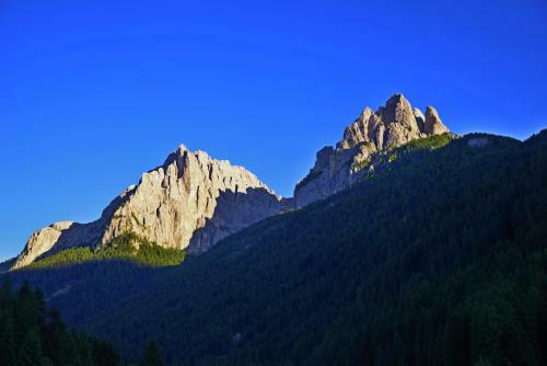 Bed & Breakfast Chalet La Ciaseta