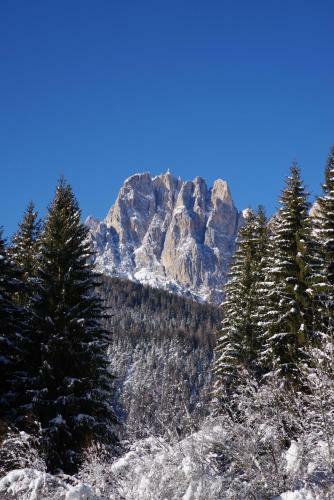 Bed & Breakfast Chalet La Ciaseta
