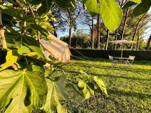 Il Giardino Di Pandora