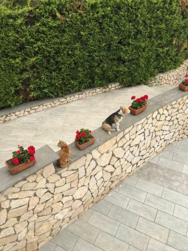 Apartamento Villa Cecilia