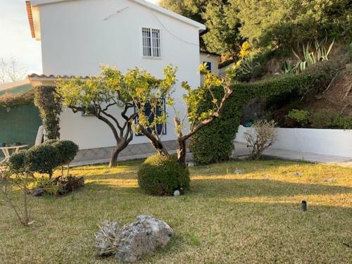 Villa - Tea Fiuzzi