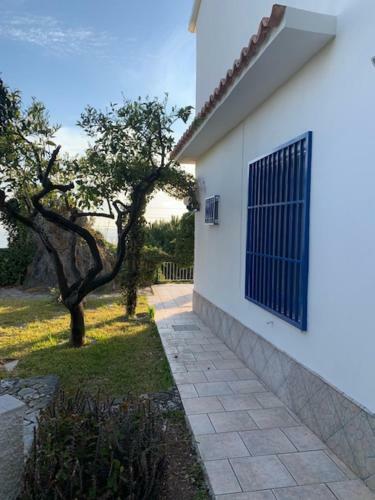 Villa - Tea Fiuzzi