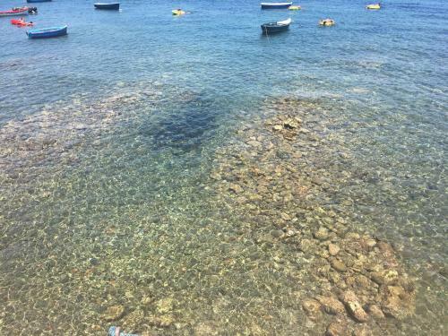 Bed & Breakfast Il Nido Della Quaglia
