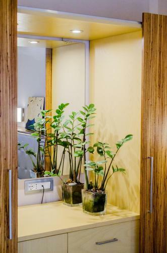 Hotel Garden