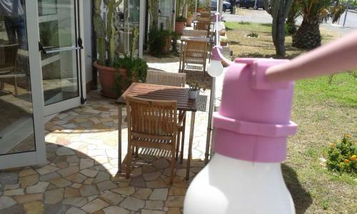 Hotel Garden