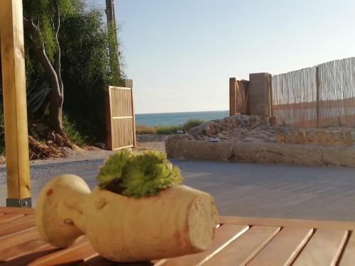 Villa New Rooms On The Beach