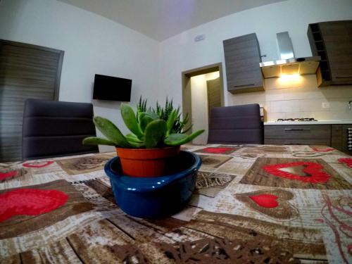 Apartamento Welcome Home Apt. 2