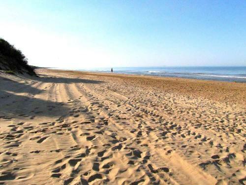 Apartamento Villa Marina Few Mt From Sand Beach