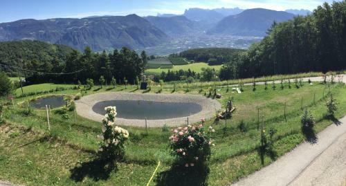 Apartamento Pichler-hof