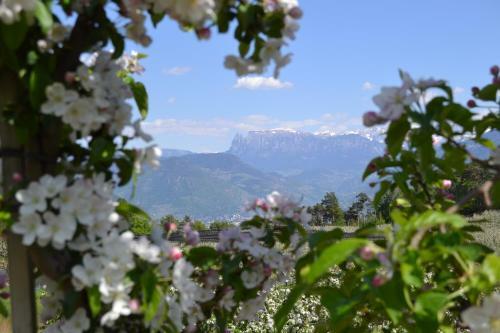 Apartamento Ferienwohnungen Schmalzerhof