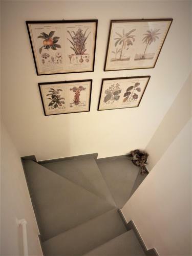 Apartamento Castle Rooms