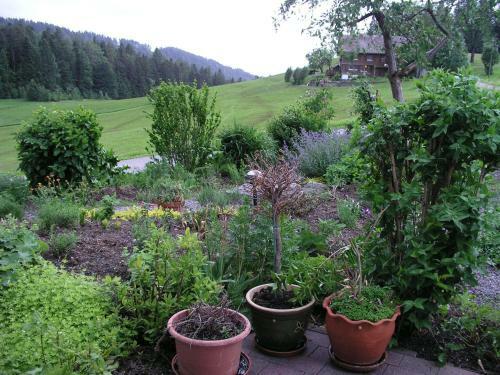 Hostal Pension Sonnblick
