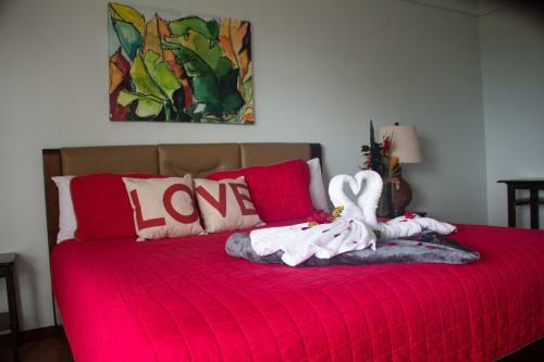 Whales And Dolphins Hotel
