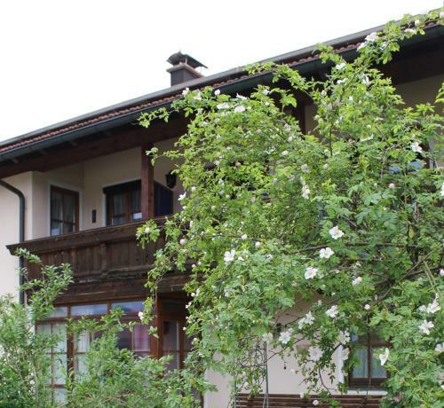 Apartamento Appartment Andrea