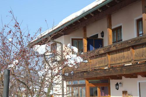 Apartamento Appartment Andrea